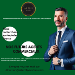 Agent commercial indépendant