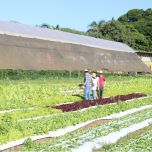 Agricultural Products