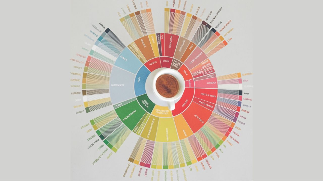 Coffee blend Creation - Workshop