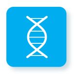 CordenPharma Oligonucleotide Platform