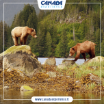 Canada Experience®  e Usa Experience® Catalogo Camper 2025