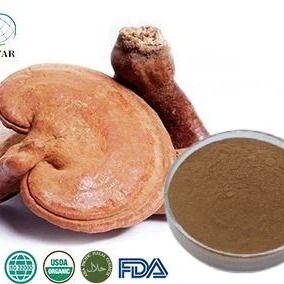 Organic Reishi Mushroom Powder