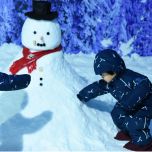 Ice & Snow Equipment Systems