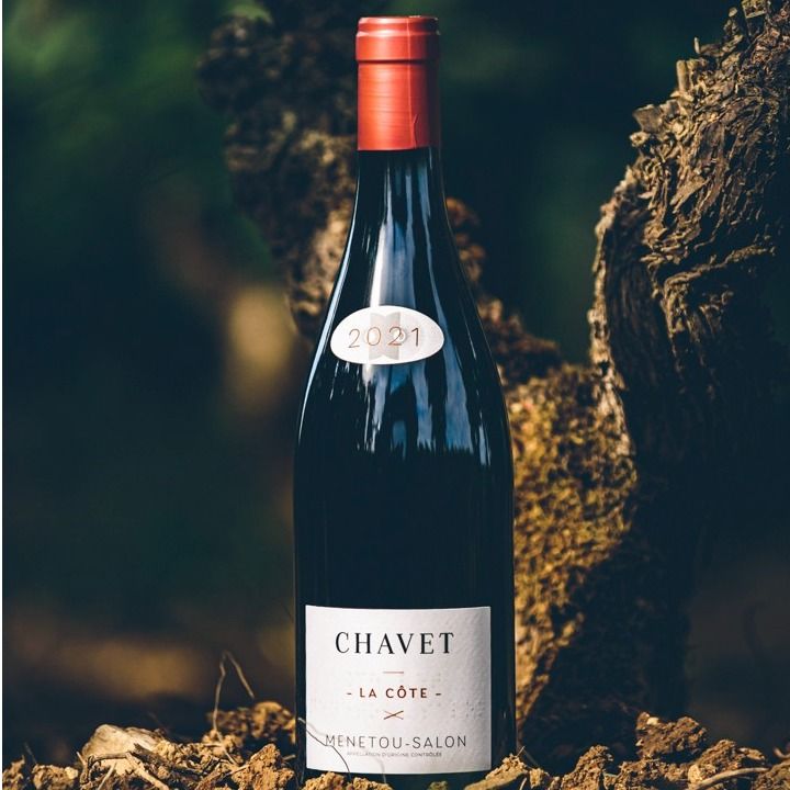 Domaine Chavet - La Côte