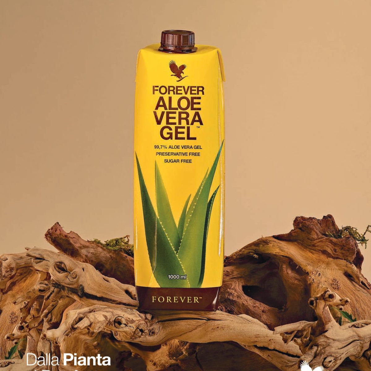 Aloe Vera Gel