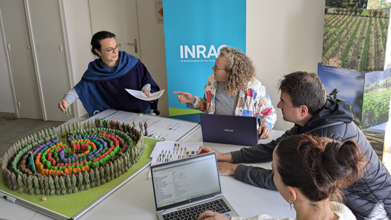 Démonstration de l'outil DEXiAF, évaluation des performances de systèmes agroforestiers