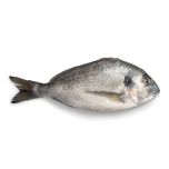 Our Seabream - Premium Quality