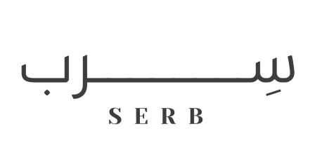 Business SERB Holding Company