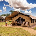 SOGNANDO TANZANIA E KENYA