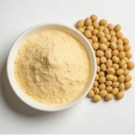 Soybean Isoflavones