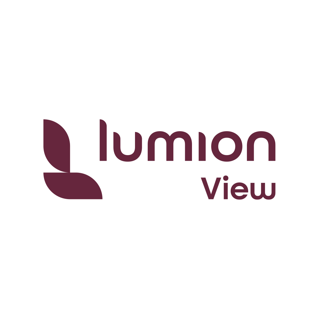 Lumion View