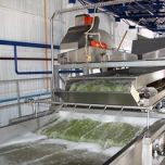 MAGRABAR® Antifoams, Defoamers and Release Agents for Food Processing