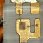 ViTiny UM30 4K Autofocus HDMI USB Digi Microscope