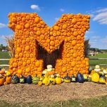 About Dogwood Entertainment