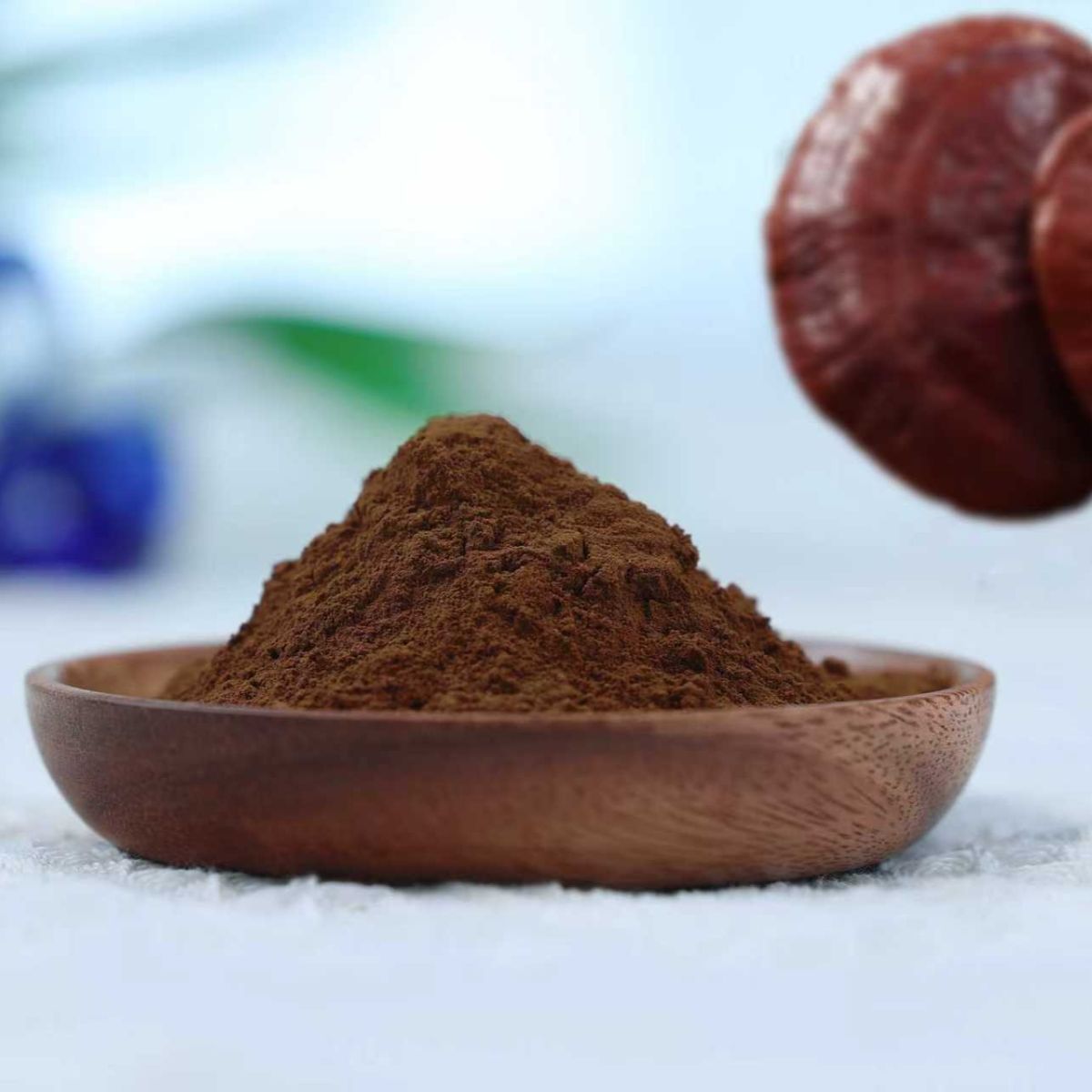 Organic Reishi Powder