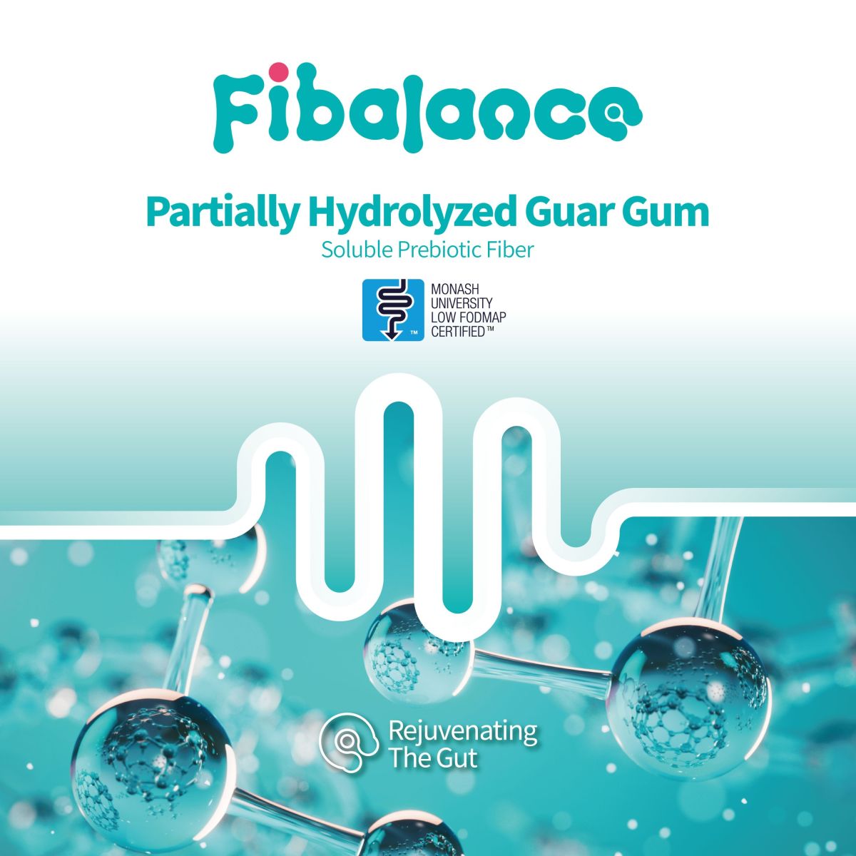 Fibalance™ PHGG(Partially Hydrolyzed Guar Gum)