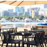 Cadeira Peti - By Guto Indio da Costa