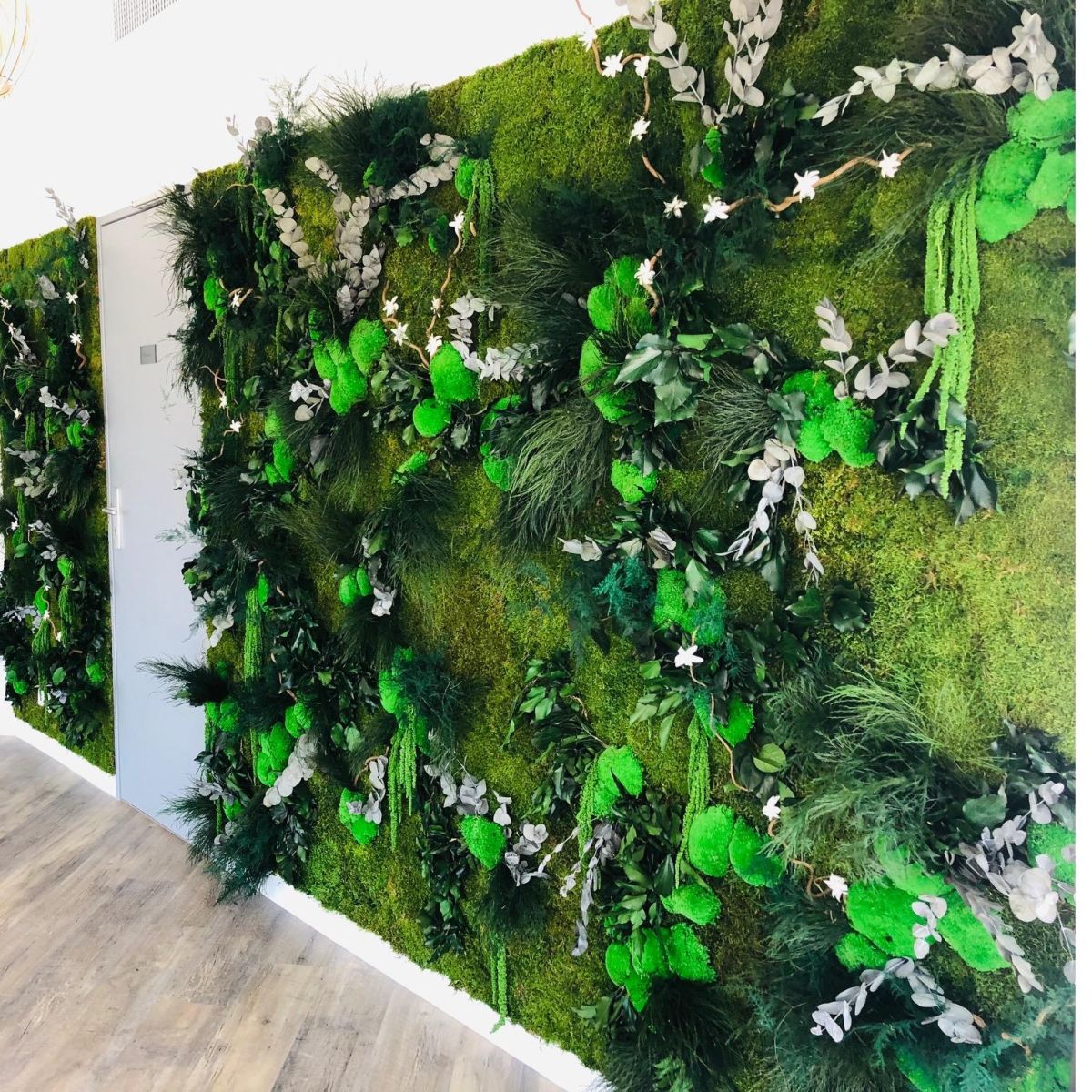 Murs végétaux stabilisés