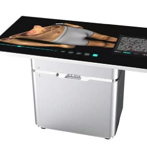 HD Digihuman Virtual Anatomy MINI Table ECDH-Int II 55