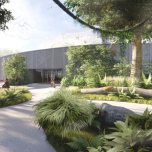 A new home for orangutans at Dresden Zoo