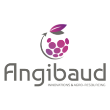 ANGIBAUD
