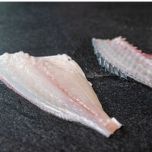 Multi Species Splitting BAADER 576