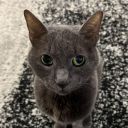 Andrew Denman-Tidline