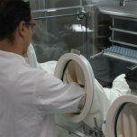 Lyo-Modelling and Lyophilization Process Development