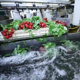 MAGRABAR® Antifoams, Defoamers and Release Agents for Food Processing