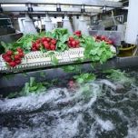 MAGRABAR® Antifoams, Defoamers and Release Agents for Food Processing