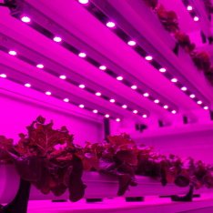 Vertical Farming Modules vertical-farming-modules