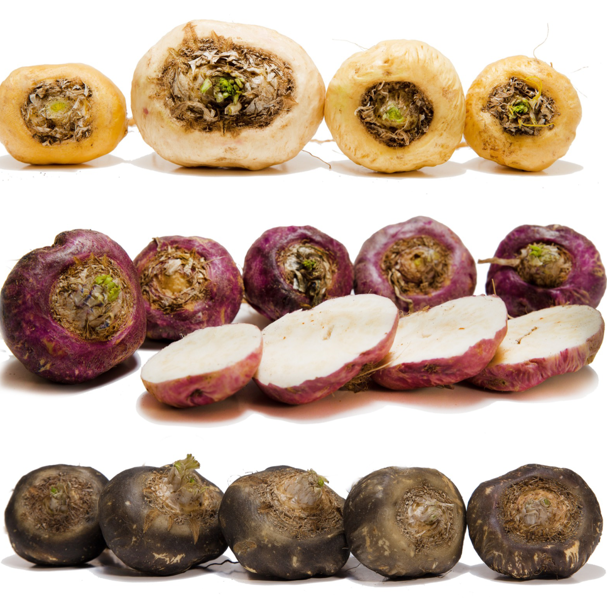 Peruvian Maca Root Organic (Yellow, Red & Black)