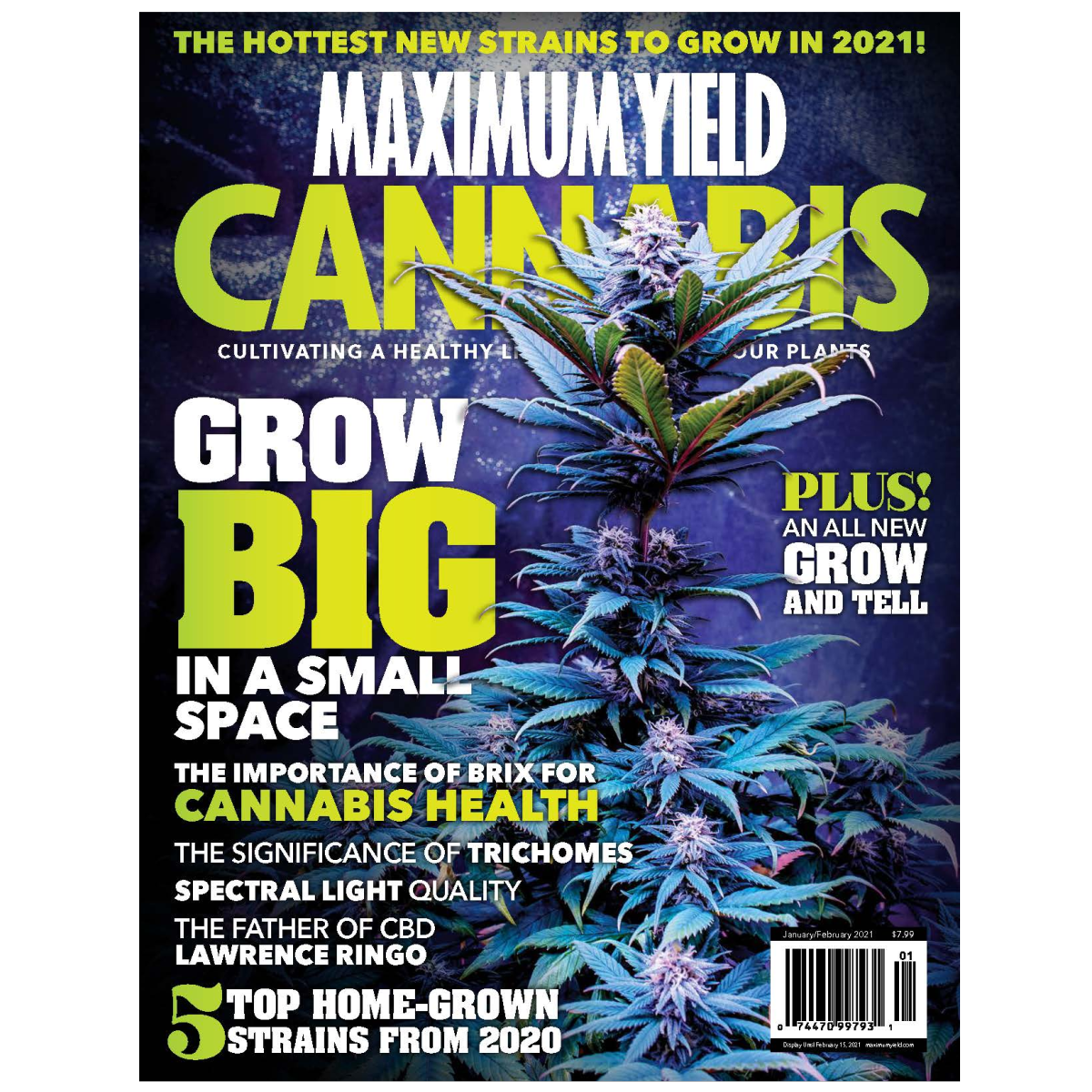 Maximum Yield Cannabis USA maximum-yield-cannabis-usa
