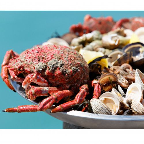 SHELLFISHES AND CRUSTACEANS