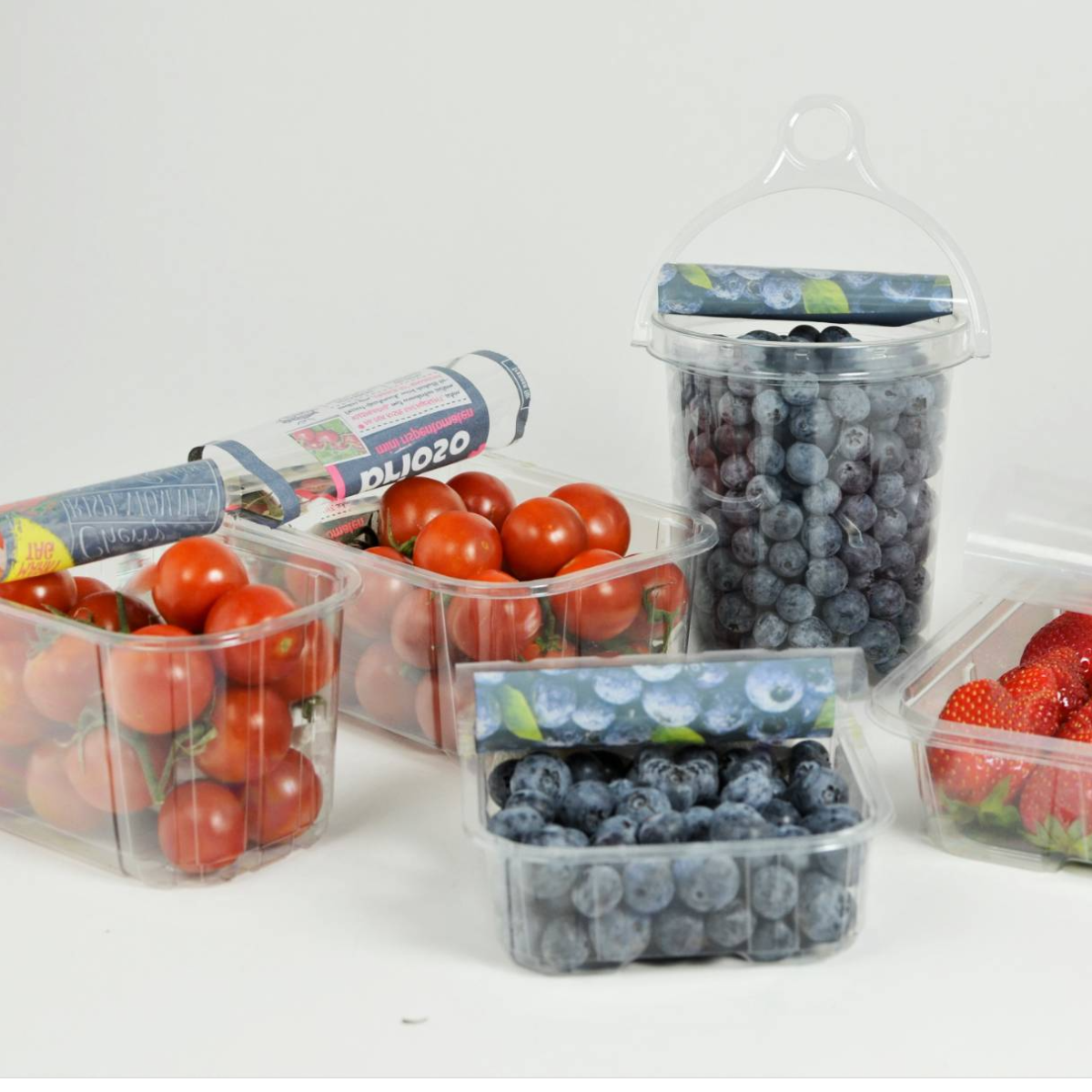 R Pet And PP Packaging r-pet-and-pp-packaging