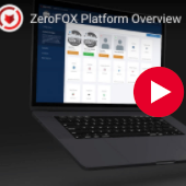 ZeroFOX Platform Overview