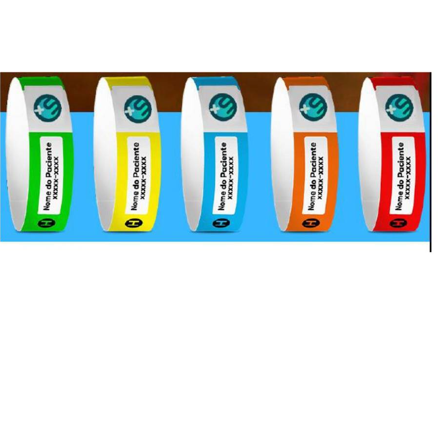 PULSEIRA BIOCLASS PARA CLASSIFICAÇÃO DE RISCO